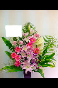 壇上花・演壇花