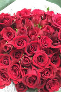 花束バラ100本